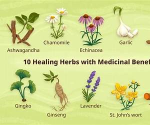 Four Herbs for Health: Cooking with Herbs for Better Health