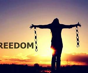 Freedom: The History Of Western Liberties