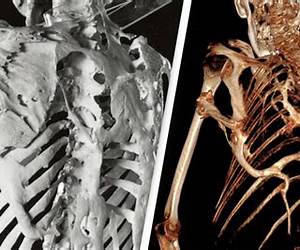 From Bone To Stone From Bone To Stone