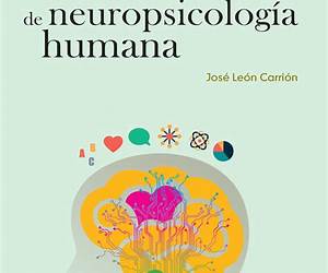 Fundamentos de neuropsicología humana (Spanish Edition) Fundamentos de neuropsicología humana (Spanish Edition)