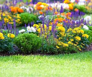 Garden Flowers (Stained Glass Patterns) Garden Flowers (Stained Glass Patterns)
