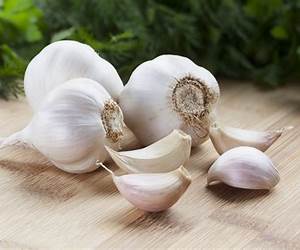 Garlic: More than 65 deliciously different ways to enjoy cooking with garlic