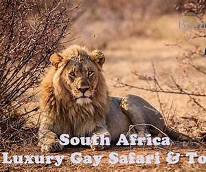 Gay Lovers on Safari (Gay Travel Inc., #2)