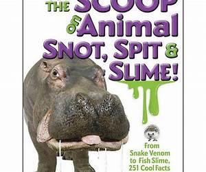 Get the Scoop on Animal Snot, Spit Slime!: From Snake Venom to Fish Slime, 251 Cool Facts About Mucus, Saliva More!