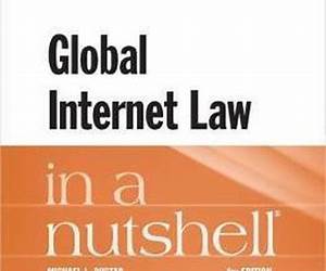 Global Internet Law in a Nutshell Global Internet Law in a Nutshell