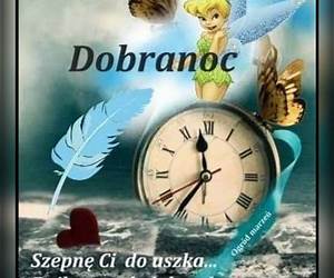 Good NightDobranoc: A Bilingual English Polish Children's Book