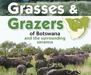 Grasses \u0026 Grazers of Botswana Grasses \u0026 Grazers of Botswana