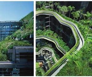 Green Walls in High-Rise Buildings