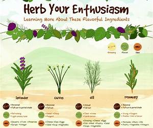 Growing \u0026 Using Herbs