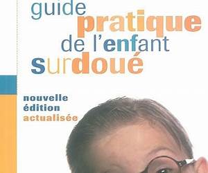 Guide pratique de l'enfant surdoué: REPERER ET AIDER LES ENFANTS PRECOCES