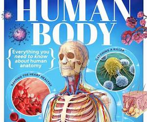 Guide to the Human Body Guide to the Human Body