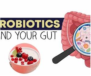 Gut Health and Probiotics