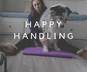 HAPPY HANDLING!: REWARD TARGETED TRAINING, SUITABLE FOR ANY DOG AND OWNER