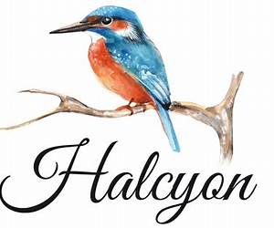 Halcyon #1 (of 5)