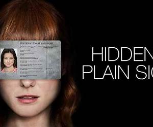 Hidden in Plain Sight Hidden in Plain Sight