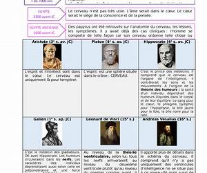 Histoire De La Psychologie Histoire De La Psychologie