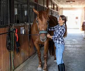Horse Care: What you don't know about Worms will surprise you!