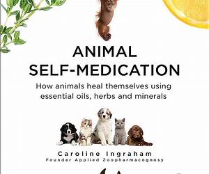 How Animals Heal Themselves: Ingraham Applied Zoopharmacognosy How Animals Heal Themselves: Ingraham Applied Zoopharmacognosy