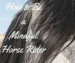 How to Be a Mindful Horse Rider and Owner How to Be a Mindful Horse Rider and Owner