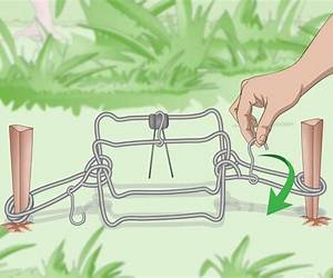 How to Make and Set Traps: Including Hints on How to Trap Moles, Weasels, Otter, Rats, Squirrels and Birds; Also How to Cure Skins How to Make and Set Traps: Including Hints on How to Trap Moles, Weasels, Otter, Rats, Squirrels and Birds; Also How to Cure Skins