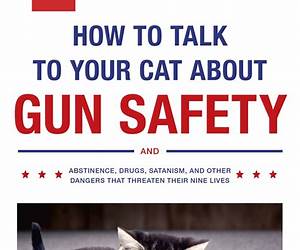 How to Talk to Your Cat About Gun Safety: And Abstinence, Drugs, Satanism, and Other Dangers That Threaten Their Nine Lives How to Talk to Your Cat About Gun Safety: And Abstinence, Drugs, Satanism, and Other Dangers That Threaten Their Nine Lives