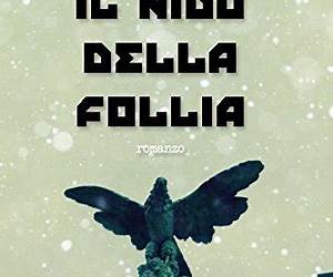 IL NIDO DELLA FOLLIA IL NIDO DELLA FOLLIA