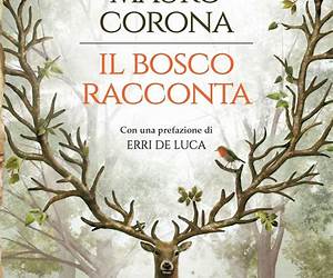 Il bosco racconta: Storie del bosco anticoTorneranno le quattro stagioni