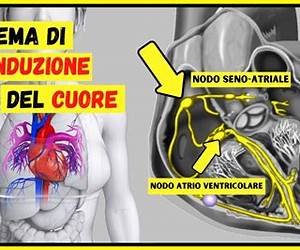 Il quinto battito del cuore Il quinto battito del cuore