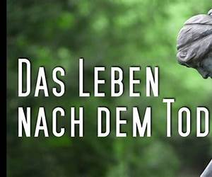 Im Tod das Leben: Gottesbeweis in der Nahtod-Erfahrung (German Edition) Im Tod das Leben: Gottesbeweis in der Nahtod-Erfahrung (German Edition)