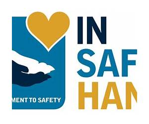 In Safe Hands (Search and Rescue, #4)