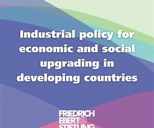 Industrial Policy in Developing Countries: Failing Markets, Weak States