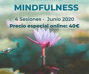 Iniciación al mindfulness