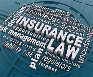 Insurance Law and Regulation, 6th (University Casebook Series) Insurance Law and Regulation, 6th (University Casebook Series)