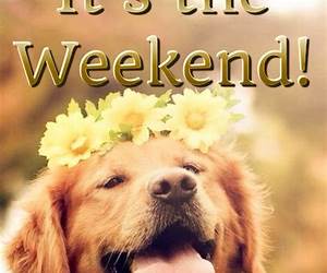 It's the Weekend It's the Weekend