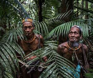 Jungle people,: A Kaingáng tribe of the highlands of Brazil (A Caravelle edition) Jungle people,: A Kaingáng tribe of the highlands of Brazil (A Caravelle edition)