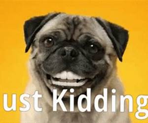Just Joking