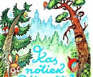Kas notiek Dižmežā? Kas notiek Dižmežā?