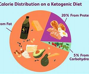 Ketogenic Diet: Rapid Weight Loss Dinners Volume 1: Lose Up To 30 Lbs. In 30 Days (20 Free Ebooks Included) (Spanish Edition) Ketogenic Diet: Rapid Weight Loss Dinners Volume 1: Lose Up To 30 Lbs. In 30 Days (20 Free Ebooks Included) (Spanish Edition)