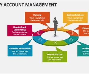 Key Account Management: Strategies to Leverage Information,Technology, and Relationships to Deliver Value to Large Customers
