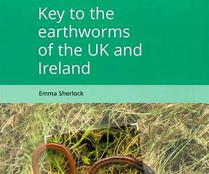 Key to Earthworms of the UK and Ireland Key to Earthworms of the UK and Ireland