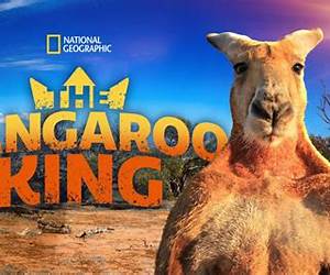 King Kangaroo King Kangaroo