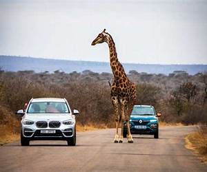 Kruger Self-Drive: Routes, Roads \u0026 Ratings Kruger Self-Drive: Routes, Roads \u0026 Ratings