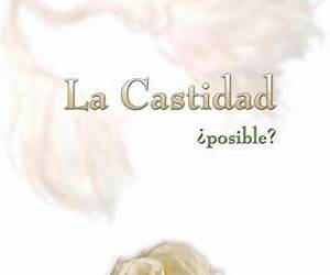 La Castidad ¿posible? La Castidad ¿posible?