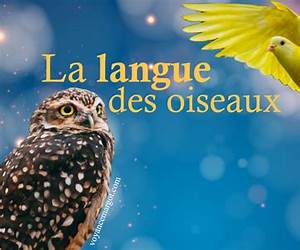 La langue des oiseaux La langue des oiseaux