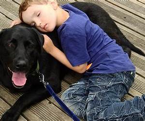 LabbylikeLandleben mit Labrador: ...unser total verrücktes Leben mit den Hunden (German Edition) LabbylikeLandleben mit Labrador: ...unser total verrücktes Leben mit den Hunden (German Edition)