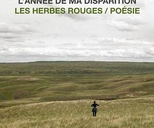 L'année de ma disparition