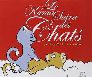 Le Kama sutra des chats