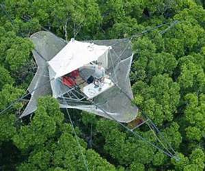 Le Radeau des Cimes : L'exploration des canopées forestières