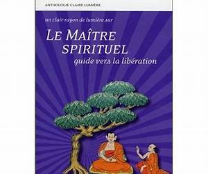 Le maître spirituel (Découverte du bouddhisme t. 4) (French Edition) Le maître spirituel (Découverte du bouddhisme t. 4) (French Edition)