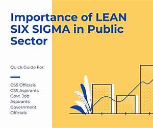 Lean-Six Sigma for the Public Sector: Leveraging Continuous Process Improvement to Build Better Governments Lean-Six Sigma for the Public Sector: Leveraging Continuous Process Improvement to Build Better Governments